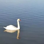 Sunshine Fonyodliget דירה Fonyód